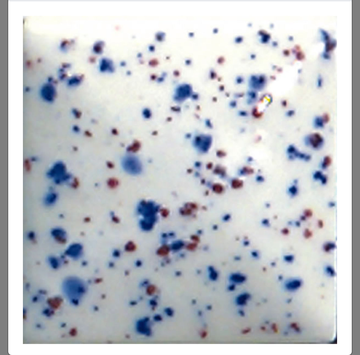 Ceramic Soap Dispenserser